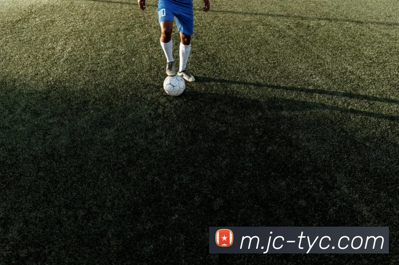 太阳城娱乐平台生态图